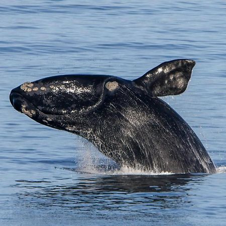 デ・ケルデルスWhale Cove A103アパートメント エクステリア 写真