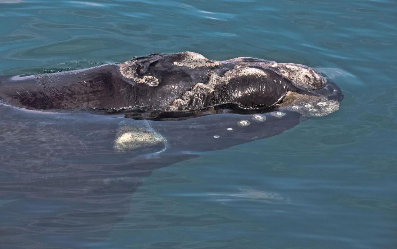 デ・ケルデルスWhale Cove A103アパートメント エクステリア 写真