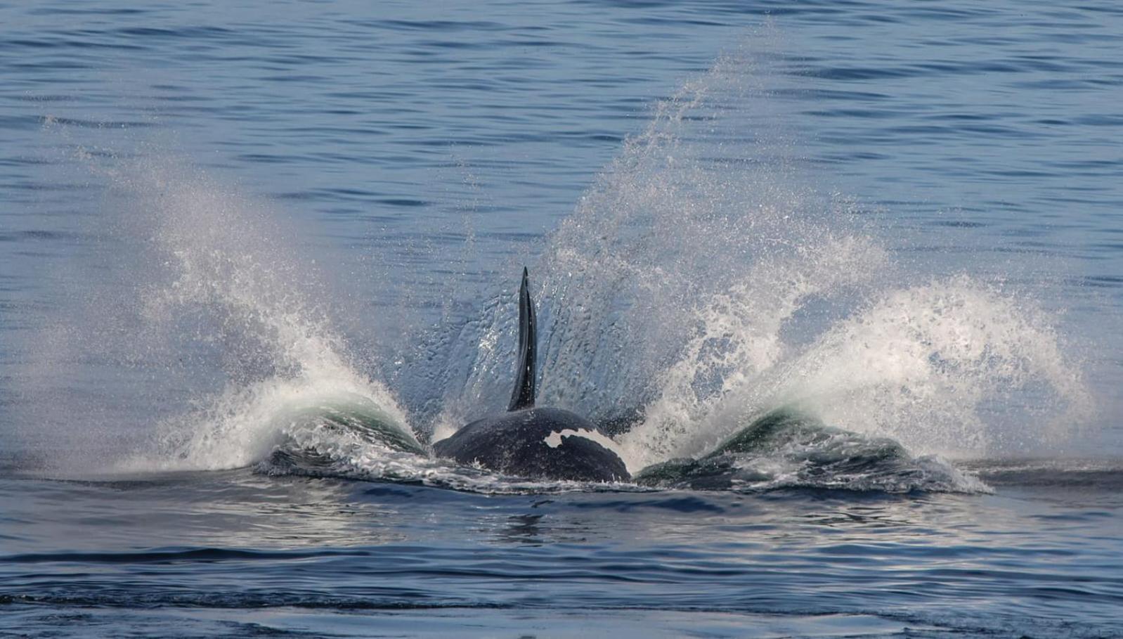 デ・ケルデルスWhale Cove A103アパートメント エクステリア 写真