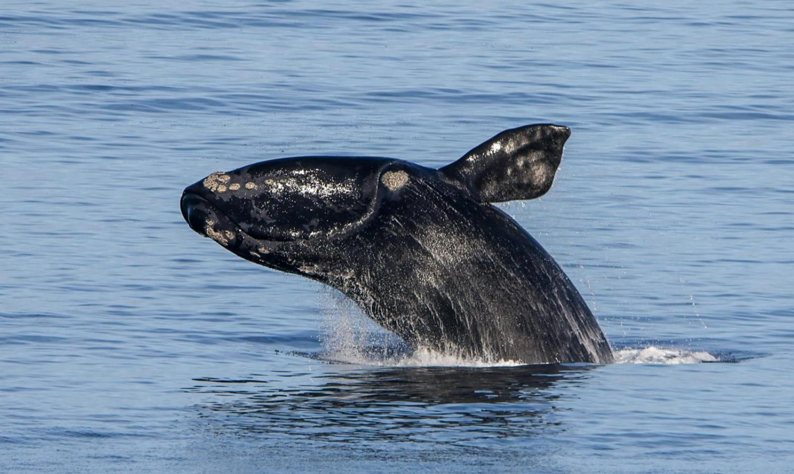 デ・ケルデルスWhale Cove A103アパートメント エクステリア 写真