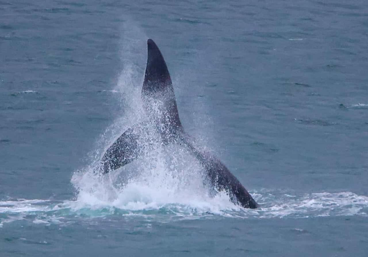 デ・ケルデルスWhale Cove A103アパートメント エクステリア 写真